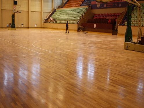 ��(sh��)ľ�w���ذ�