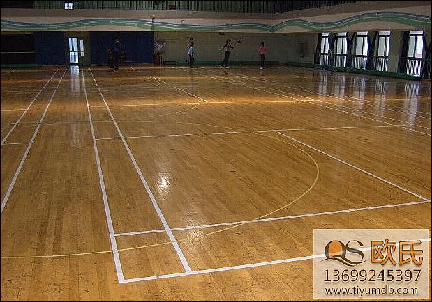 �w���\�ӵذ��Ϟ��ע�����