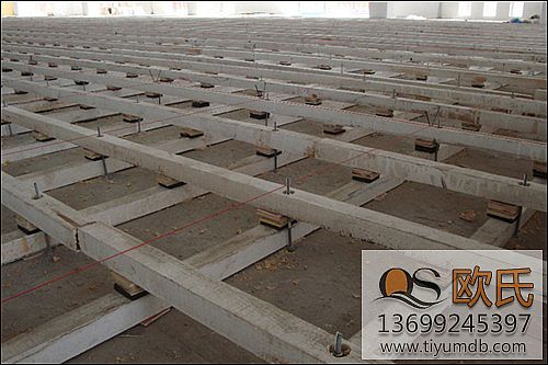 體育地板,體育木地板 體育地板,體育木地板