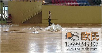 ��(sh��)ľ�w���ذ�����w�r(ji��)ֵ��ʲô