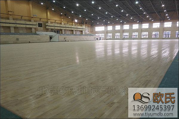 ��(sh��)ľ�\(y��n)��(d��ng)�ذ�����(xi��ng)�u(p��ng)����(bi��o)��(zh��n)��ʲô