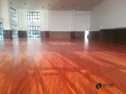 ��ľ���_(t��i)��(ch��ng)�ذ�ʲô���Ӻ�