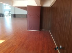 22mm���w����(ch��ng)�ذ��Ă�(g��)���ӭh(hu��n)��